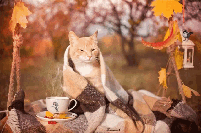 63895a332de0722dd18194ce1d5fa5e8.gif