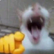 6844d39f0d35a2.17532464.png