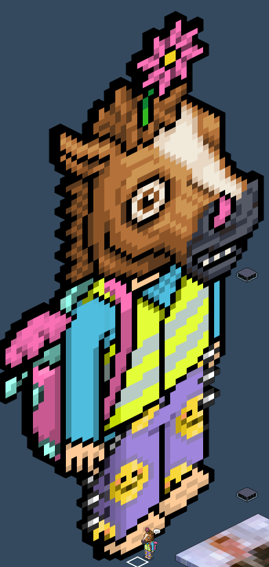 6850599d787385.48493785.png
