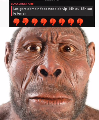 6872d19c7205f2.71117324.png