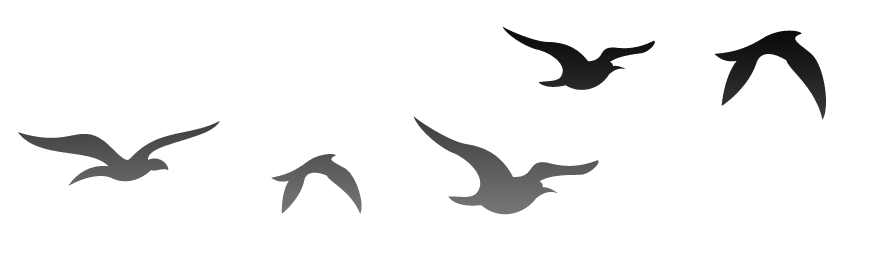 689d11401763f7.30310078.png