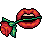 68add7f16257c1.62304107.gif