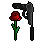 68ade2dd2799a4.71339152.gif