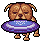 68ae0317349290.88310455.gif