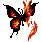 68e026722f3771.89744698.gif