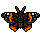 6918f1835d07b6.62800686.gif