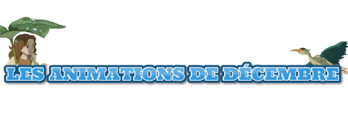692dd72280cb45.13052852.png