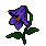 69a0aec4354d06.09138404.gif