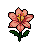 69a0aed2d7d234.94111364.gif