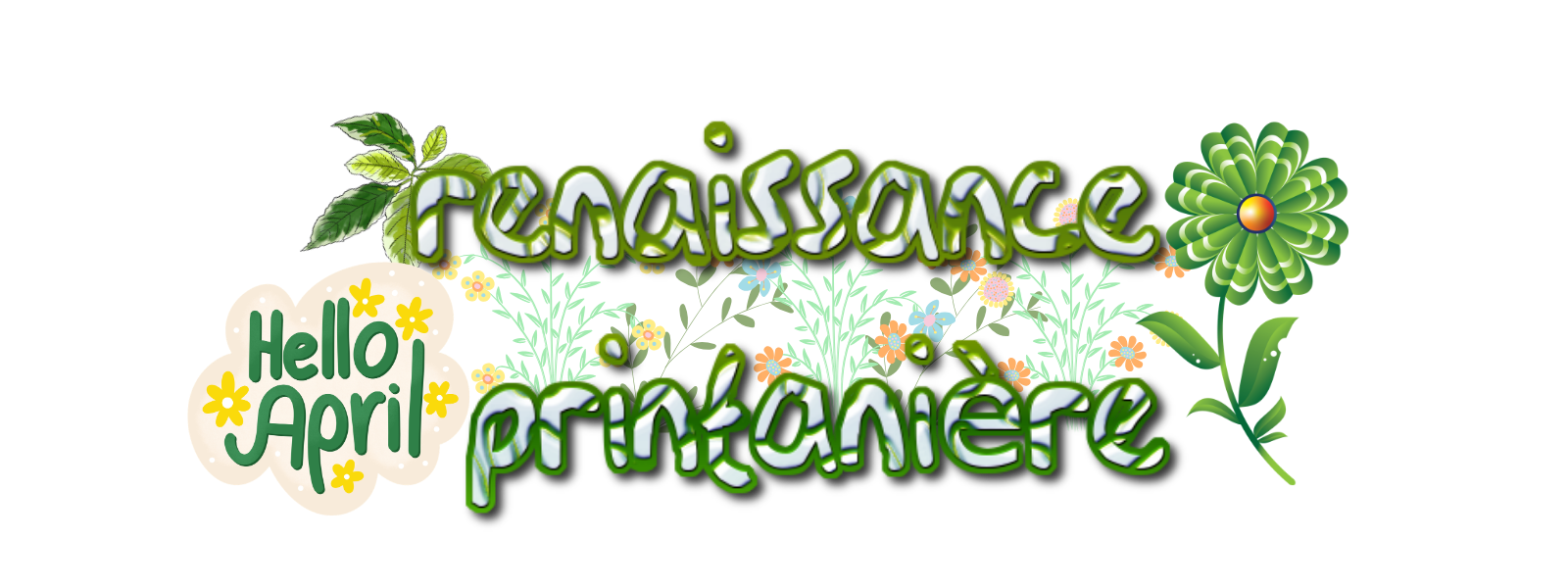 69c531530d9742.66893721.png