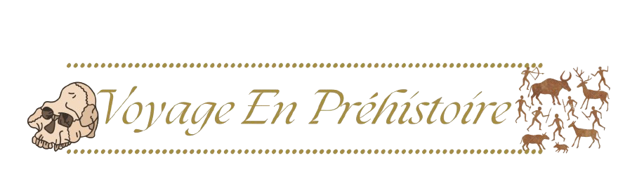 69f67c2a81d980.87172433.png