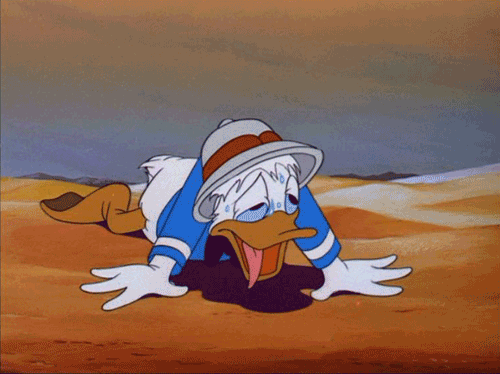 6a3aa3caa330f3.59643449.gif