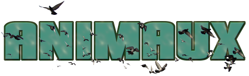 6a9d7c518e6b14.76243776.png