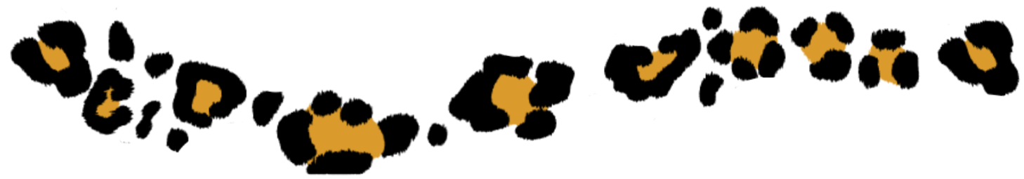 6eb5e42f24f28637d4950ecfabcbaf38.png